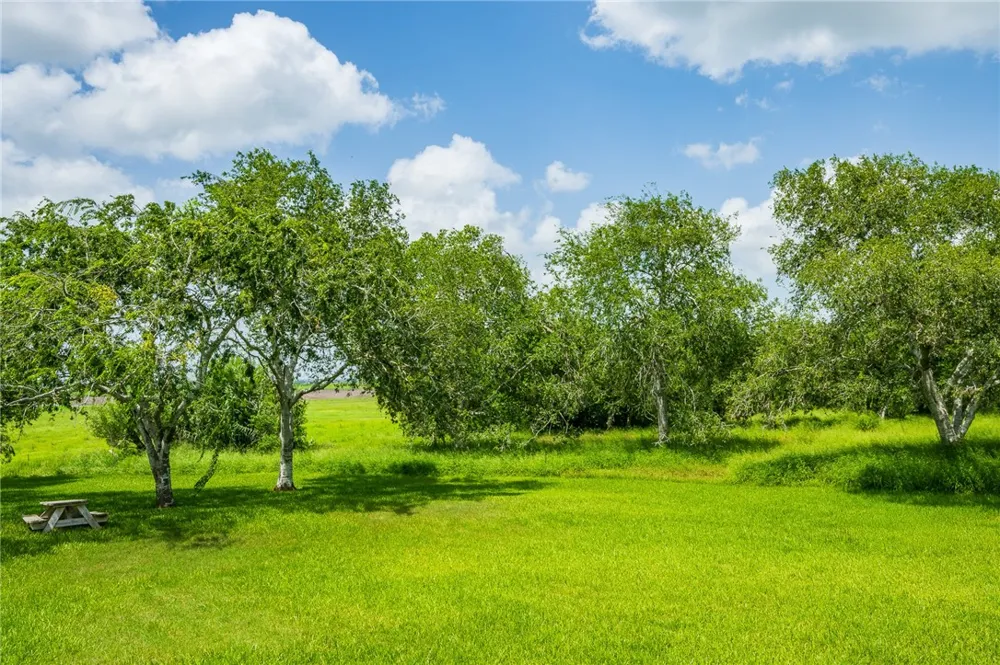 8259 Baldwin Mathis, TX 78368