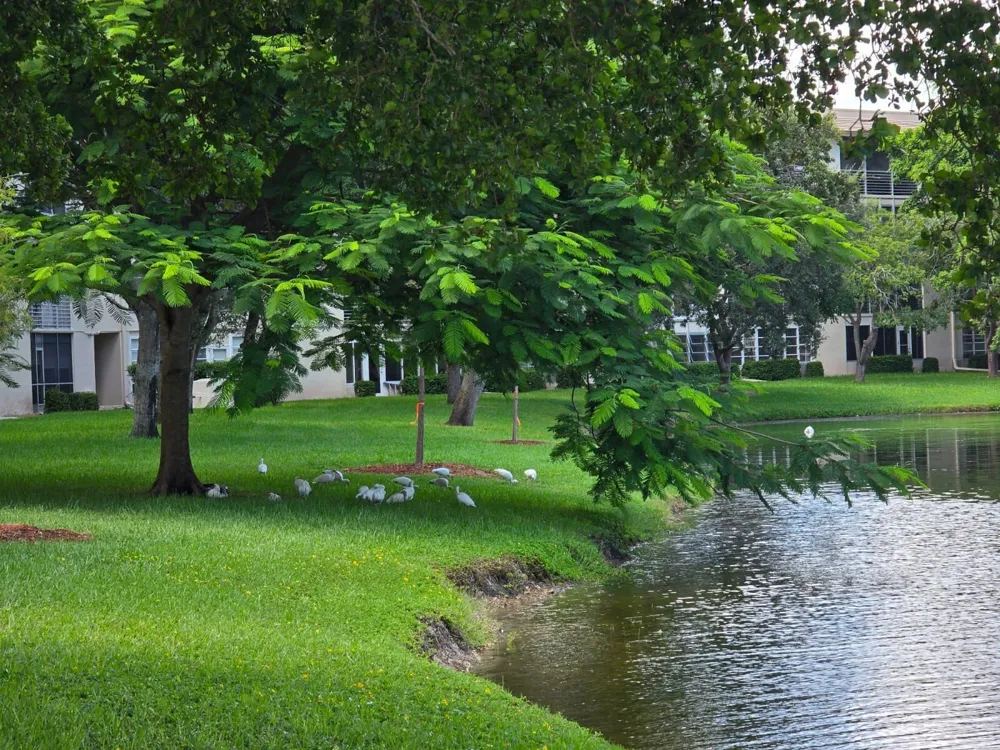 2002 Granada Drive #K3 Coconut Creek, FL 33066