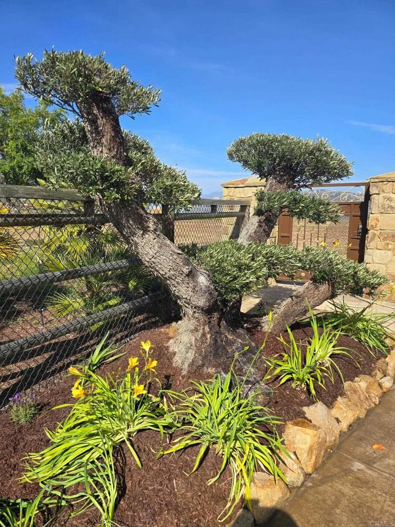 3752 Monserate Place Fallbrook, CA 92028