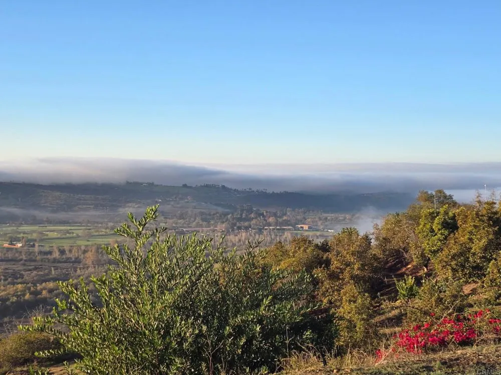3752 Monserate Place Fallbrook, CA 92028