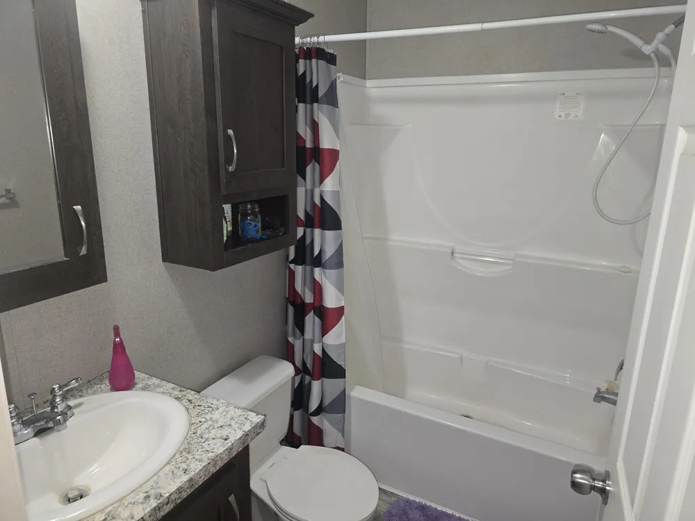 360 E Tuttle Road #55 Ionia City, MI 48846