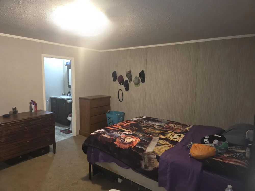 360 E Tuttle Road #55 Ionia City, MI 48846