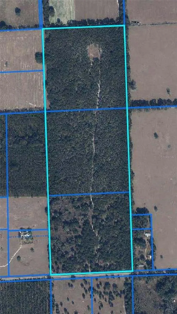 0000 SW 46TH AVENUE Newberry, FL 32669