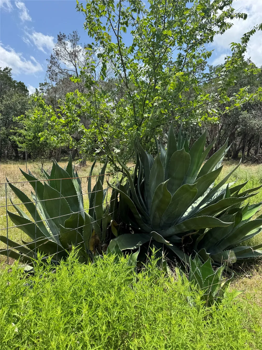 1101 Days End Road Wimberley, TX 78676