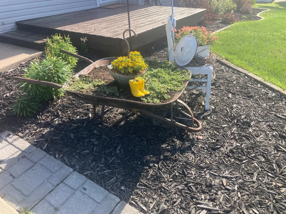 374 Cherry Street W Mazeppa, MN 55956