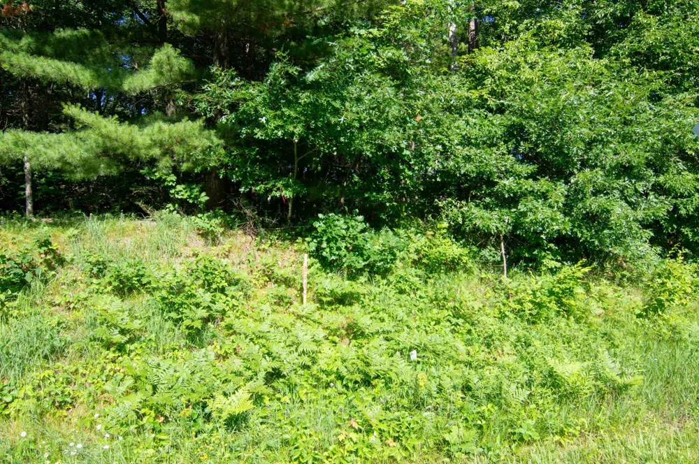 XXX County Road 19 Merrifield, MN 56465