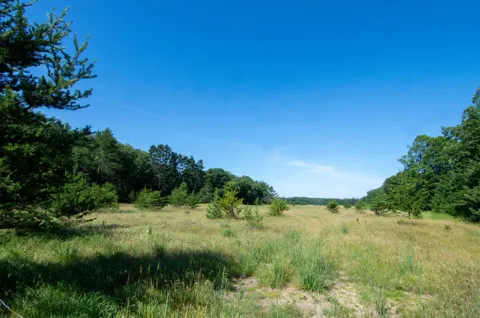 XXX County Road 19