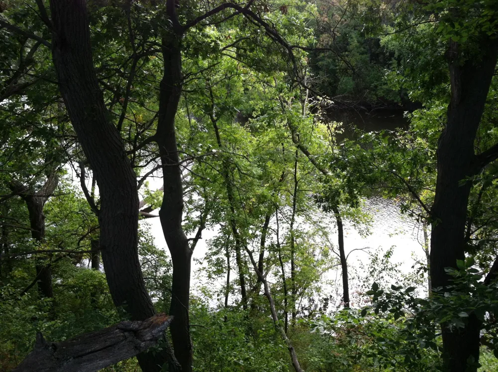 23925 Saint Francis Boulevard NW Saint Francis, MN 55070