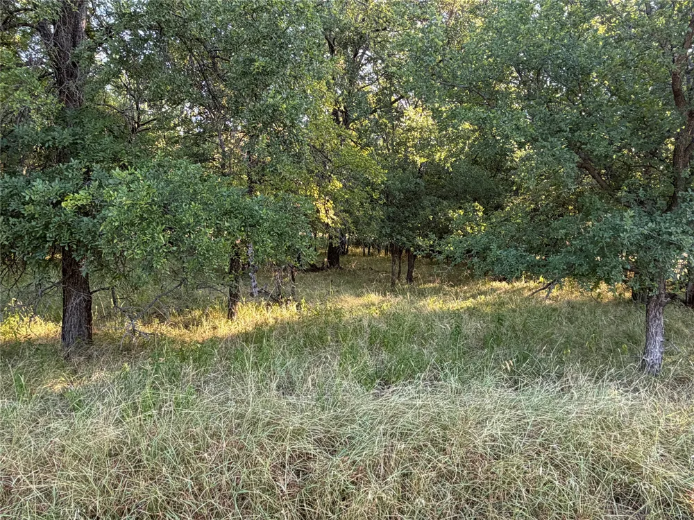 576 Willow Drive May, TX 76857
