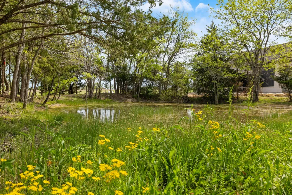 313 Ryker Lane Gunter, TX 75058