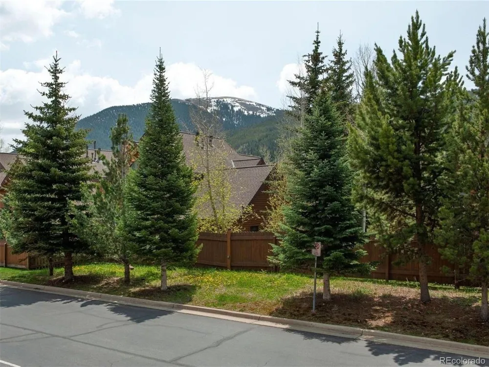 23110 US Highway 6 #5062 Dillon, CO 80435