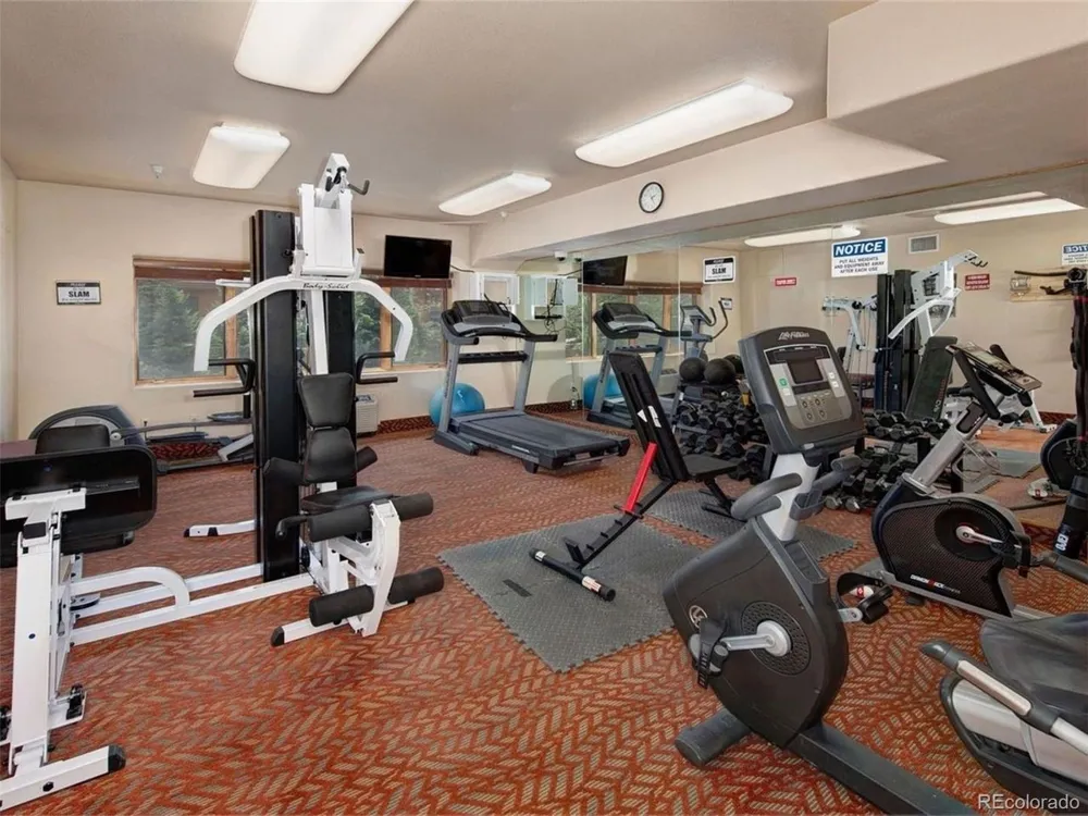 23110 US Highway 6 #5062 Dillon, CO 80435