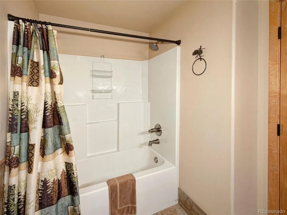 23110 US Highway 6 #5062 Dillon, CO 80435