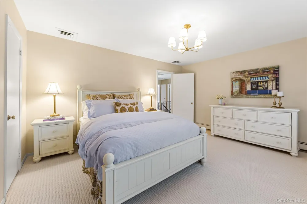 22 Delaware Avenue Jericho, NY 11753