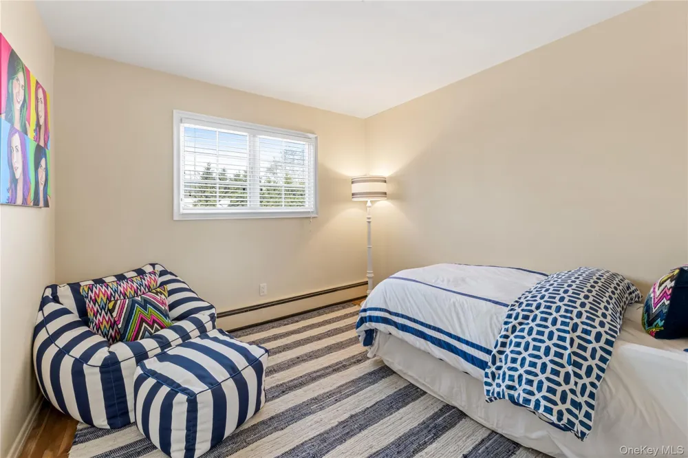 22 Delaware Avenue Jericho, NY 11753