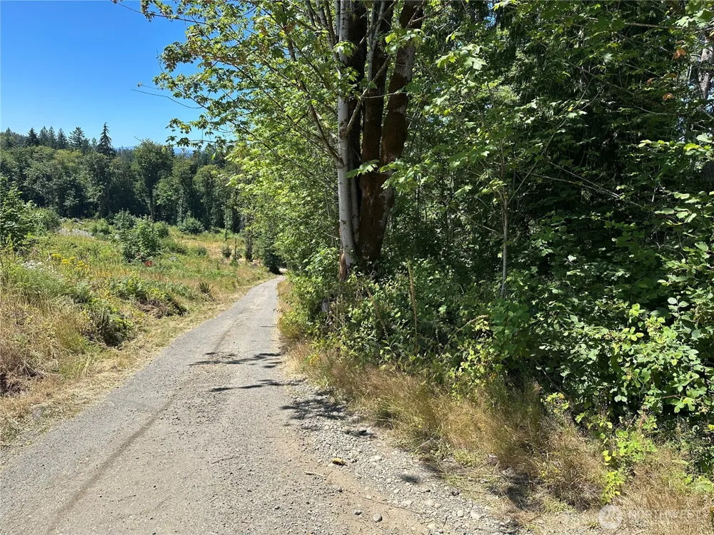 0 XXX Hippie Hill Road Belfair, WA 98528