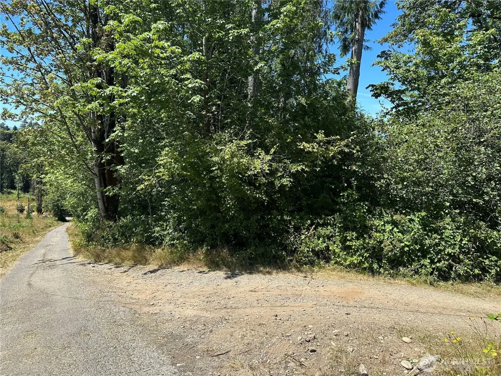 0 XXX Hippie Hill Road Belfair, WA 98528
