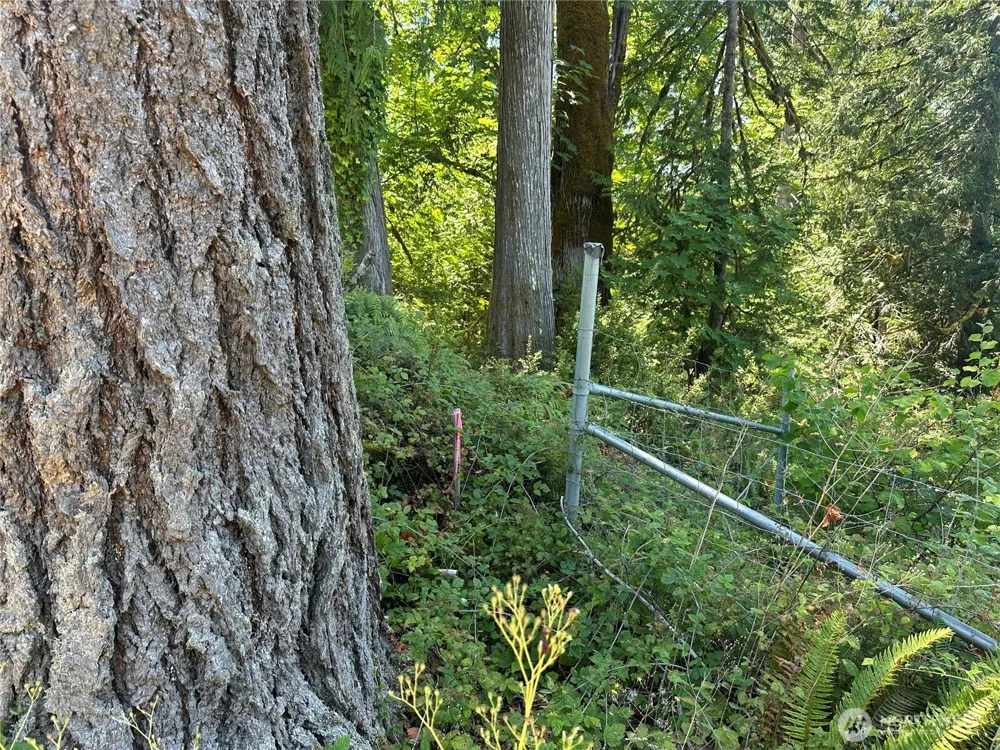 0 XXX Hippie Hill Road Belfair, WA 98528