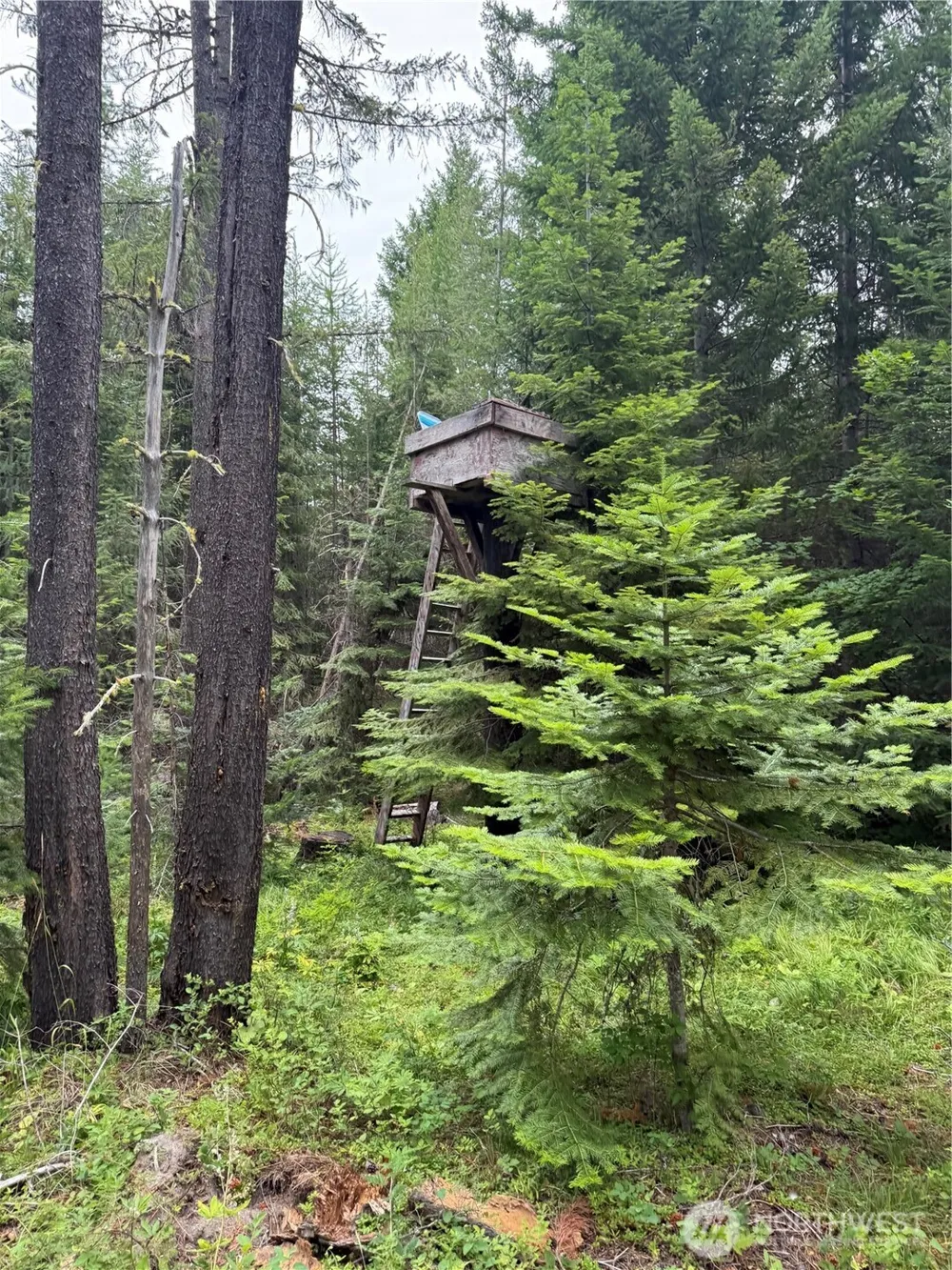 750 Tall Pines Drive #2 of 2 Cle Elum, WA 98992