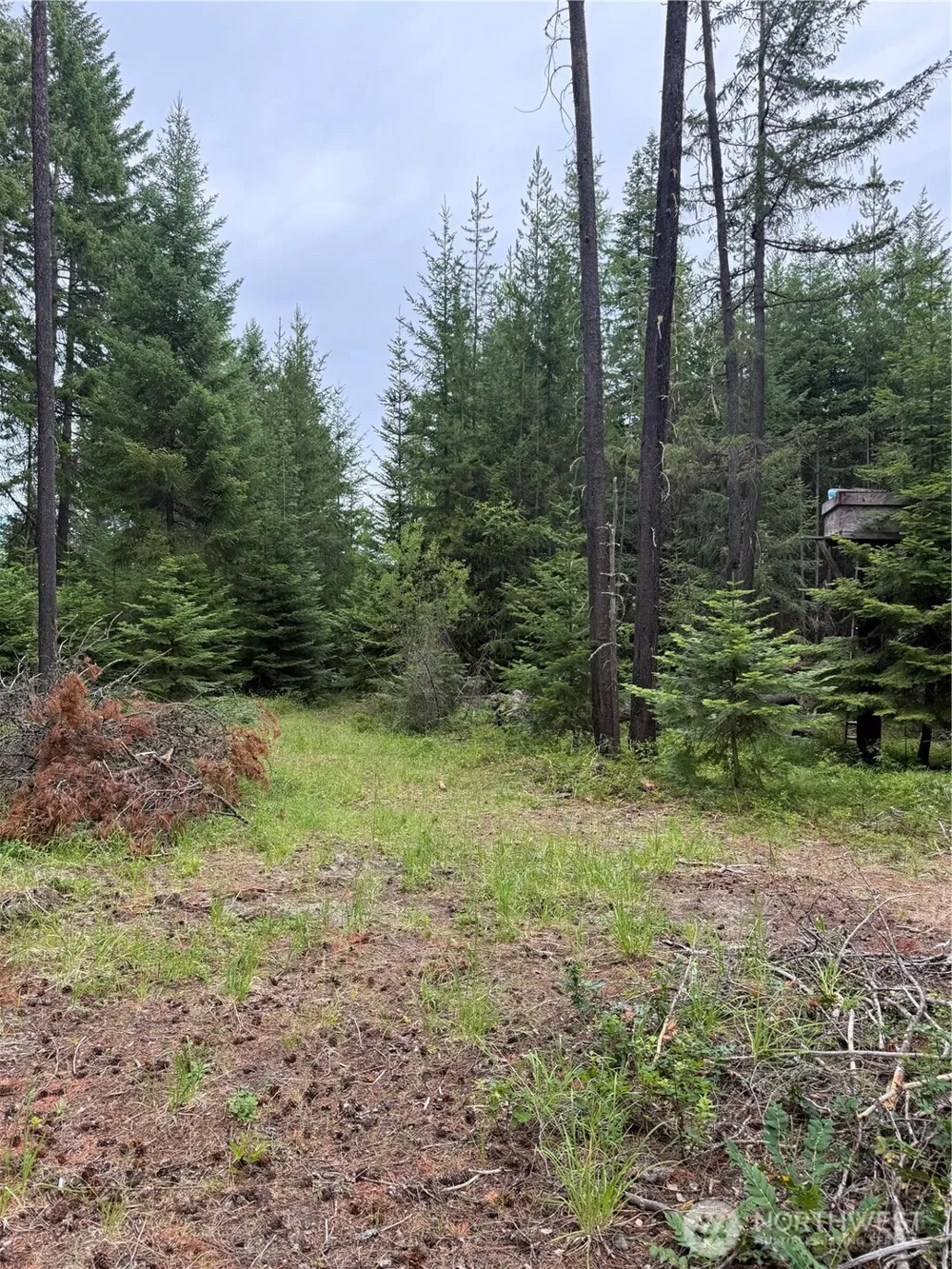 750 Tall Pines Drive #2 of 2 Cle Elum, WA 98992