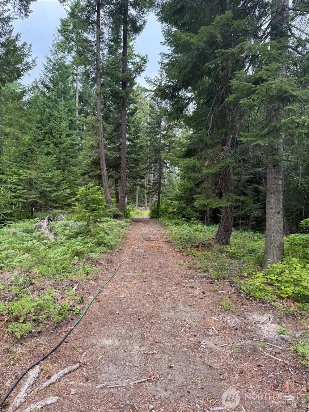 750 Tall Pines Drive #2 of 2 Cle Elum, WA 98992