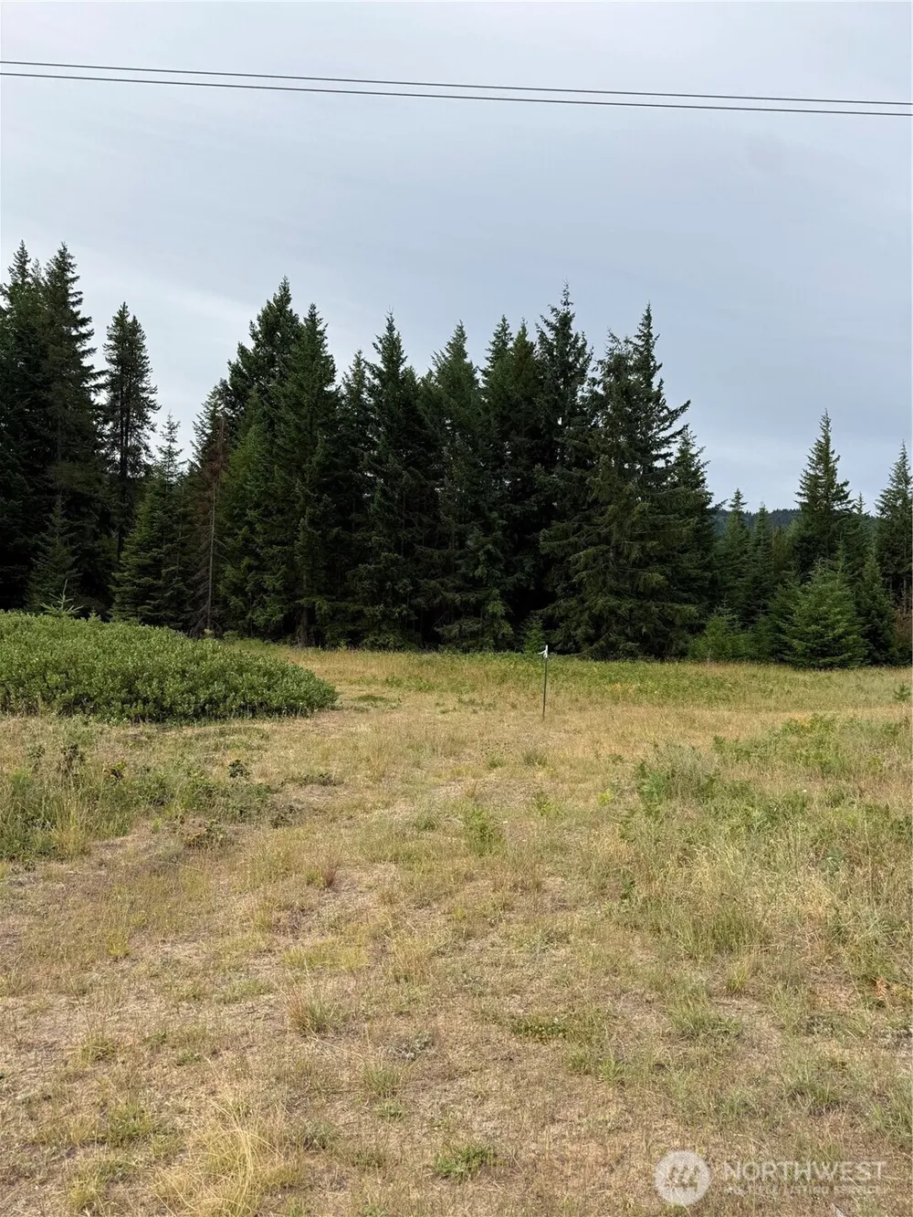 750 Tall Pines Drive #2 of 2 Cle Elum, WA 98992