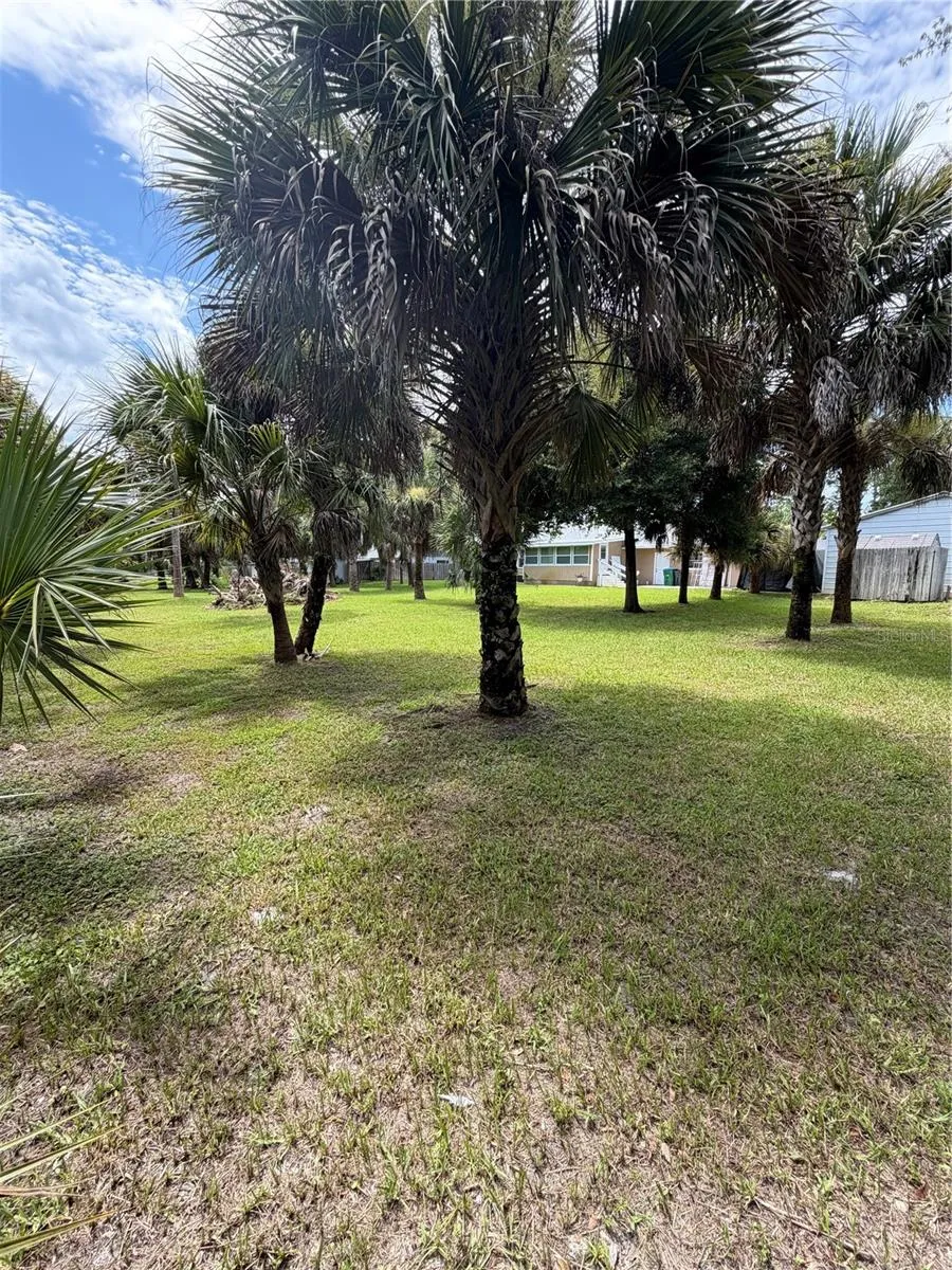 207 E HALIFAX AVENUE Oak Hill, FL 32759