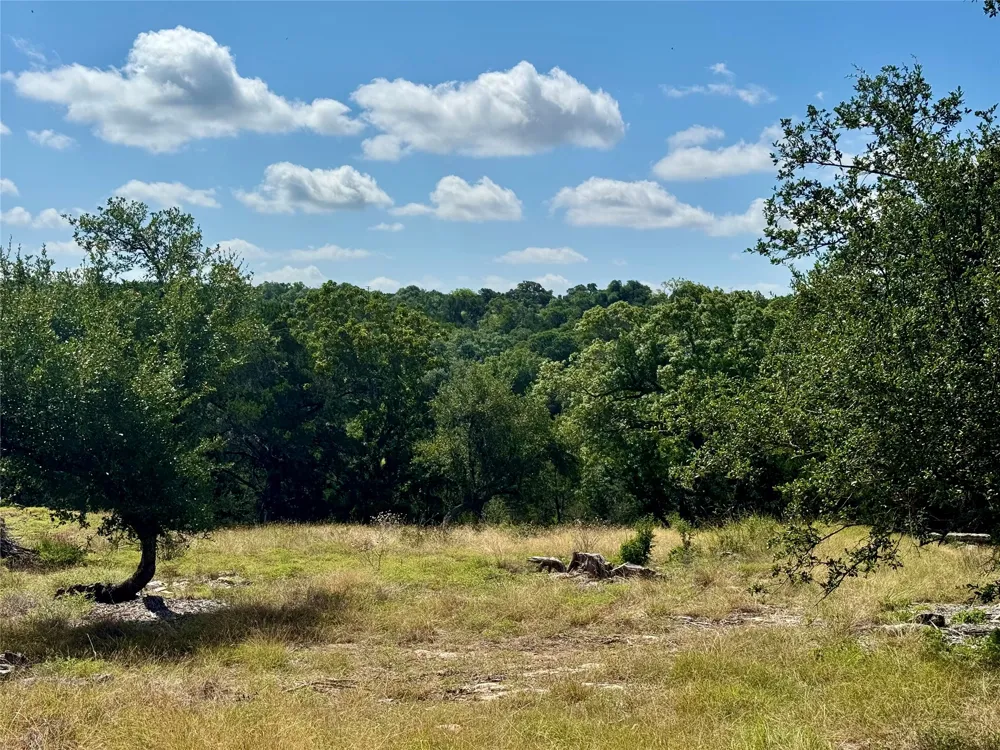 242 Landons Way Georgetown, TX 78633