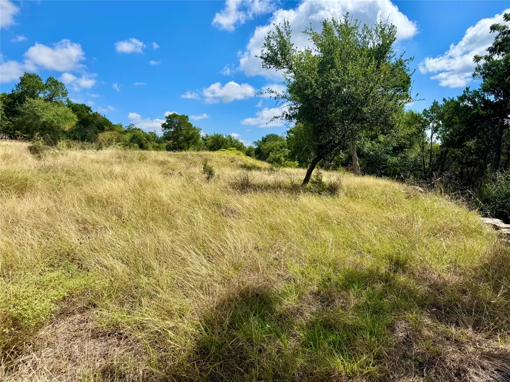242 Landons Way Georgetown, TX 78633