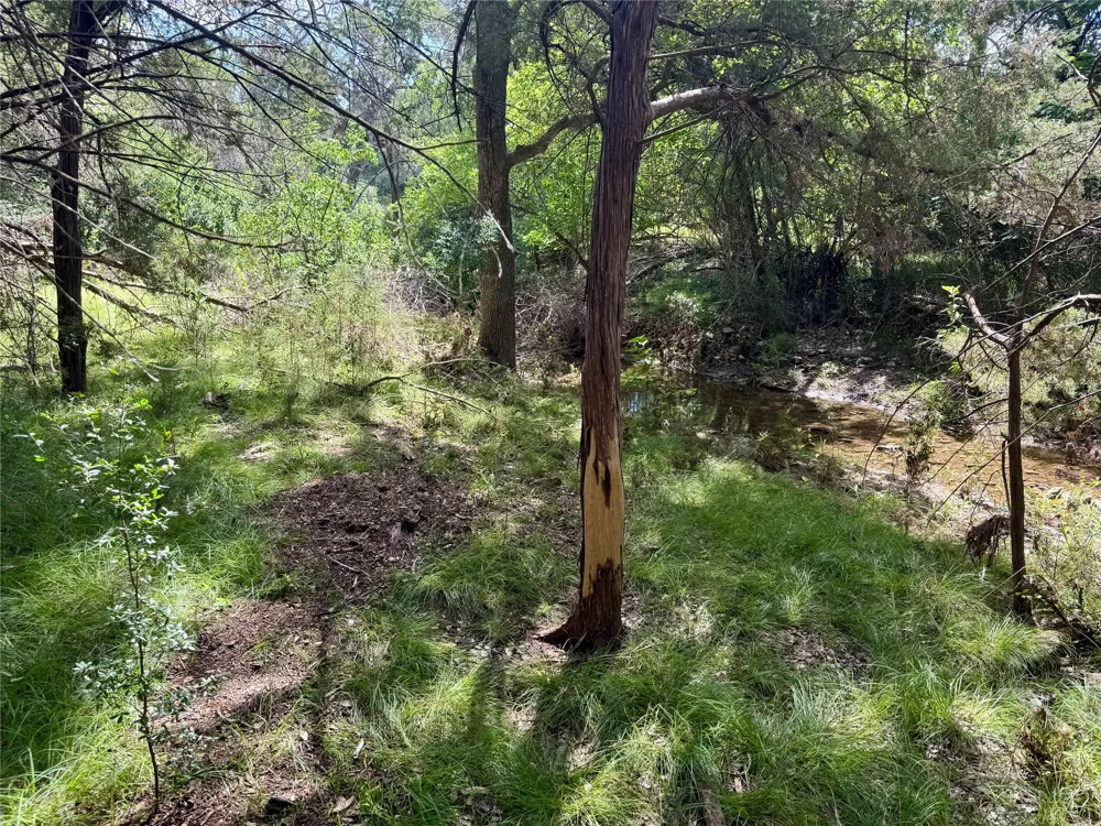 242 Landons Way Georgetown, TX 78633