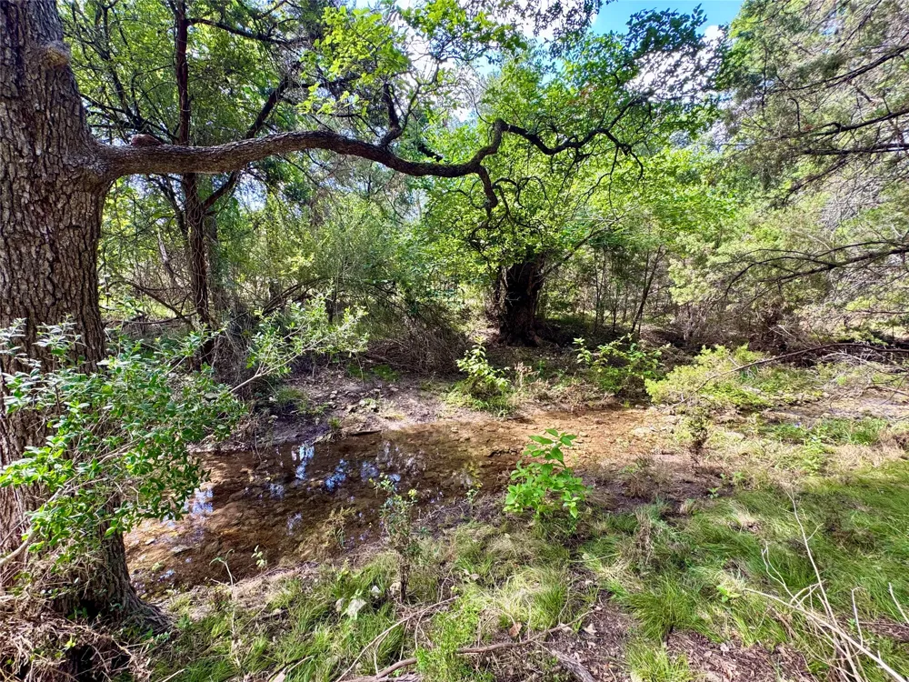 242 Landons Way Georgetown, TX 78633