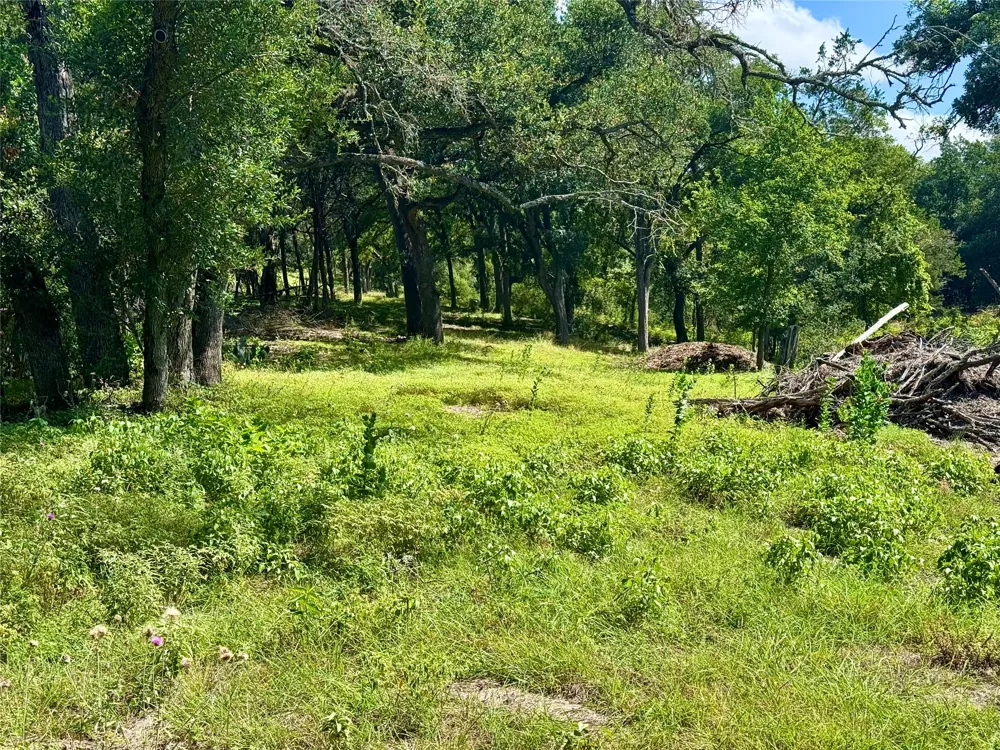 242 Landons Way Georgetown, TX 78633