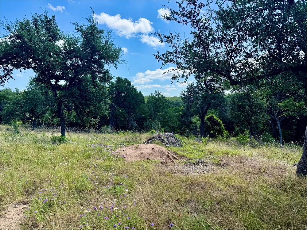 242 Landons Way Georgetown, TX 78633