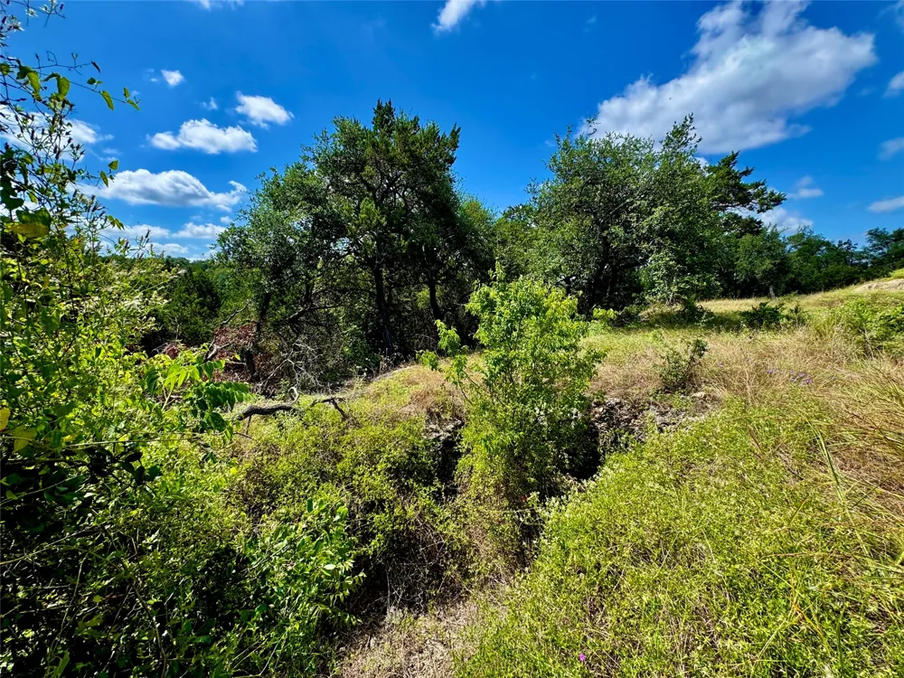 242 Landons Way Georgetown, TX 78633