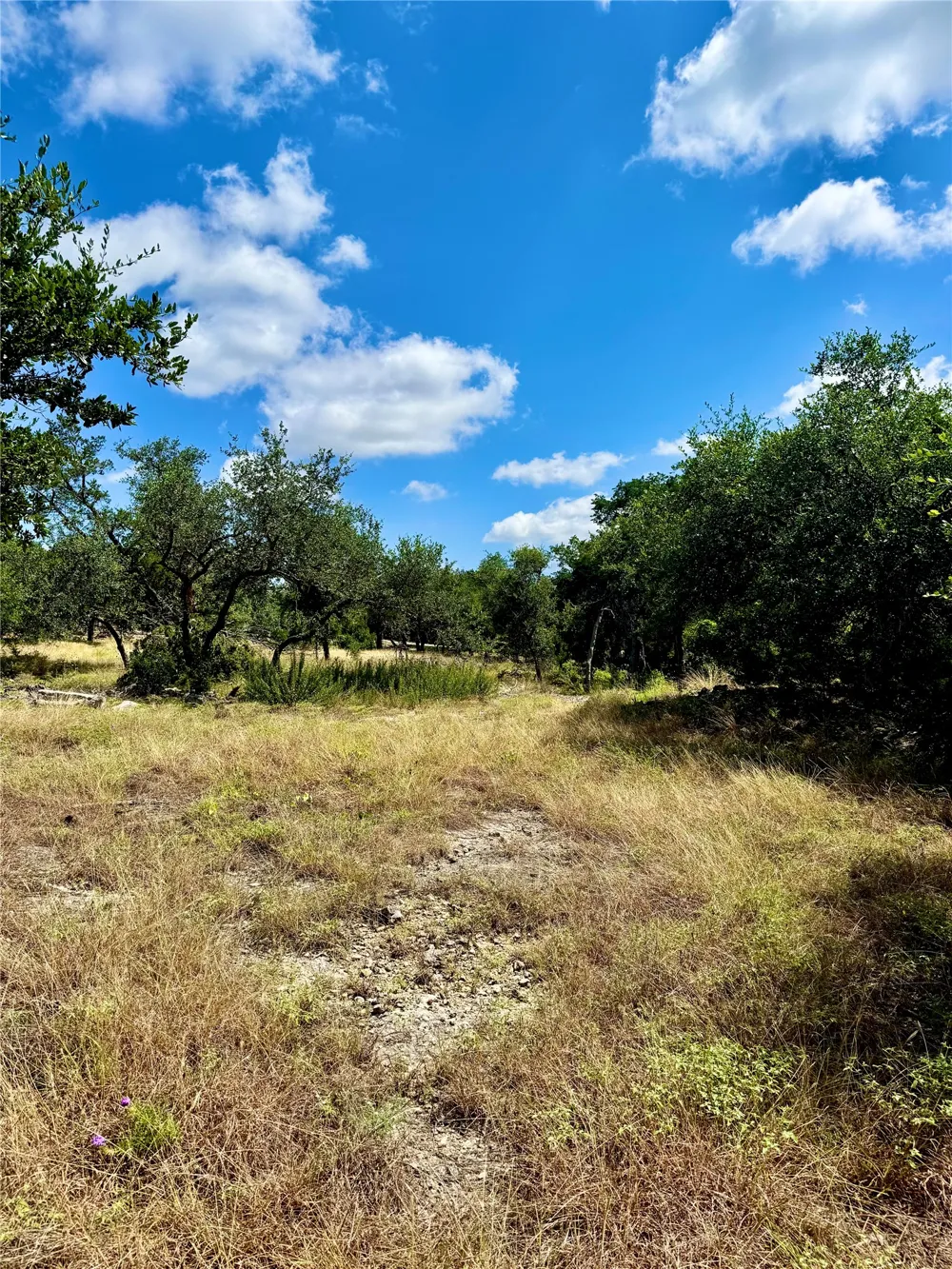 242 Landons Way Georgetown, TX 78633