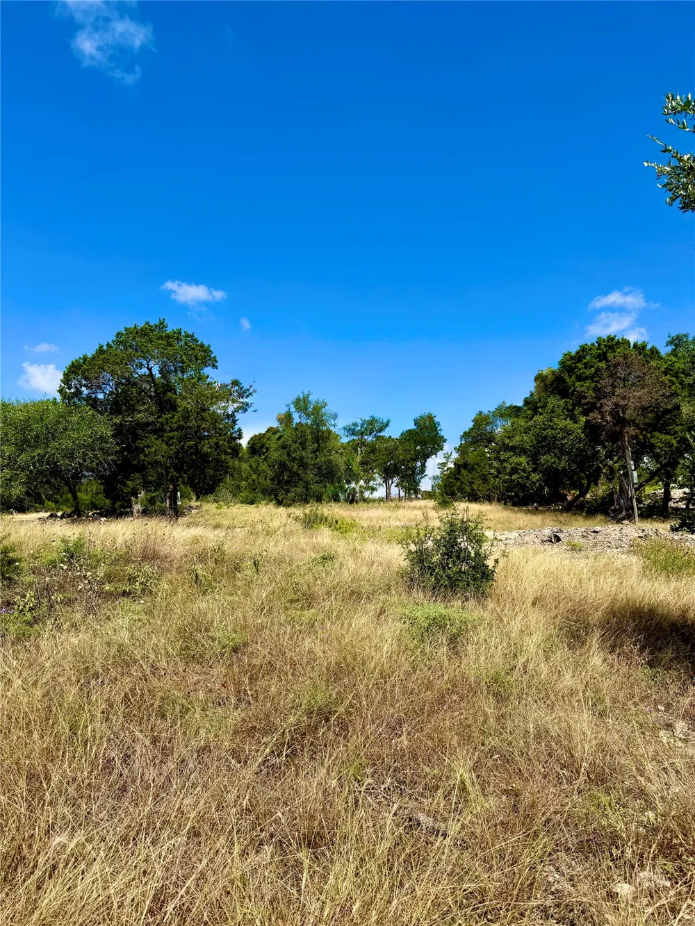 242 Landons Way Georgetown, TX 78633