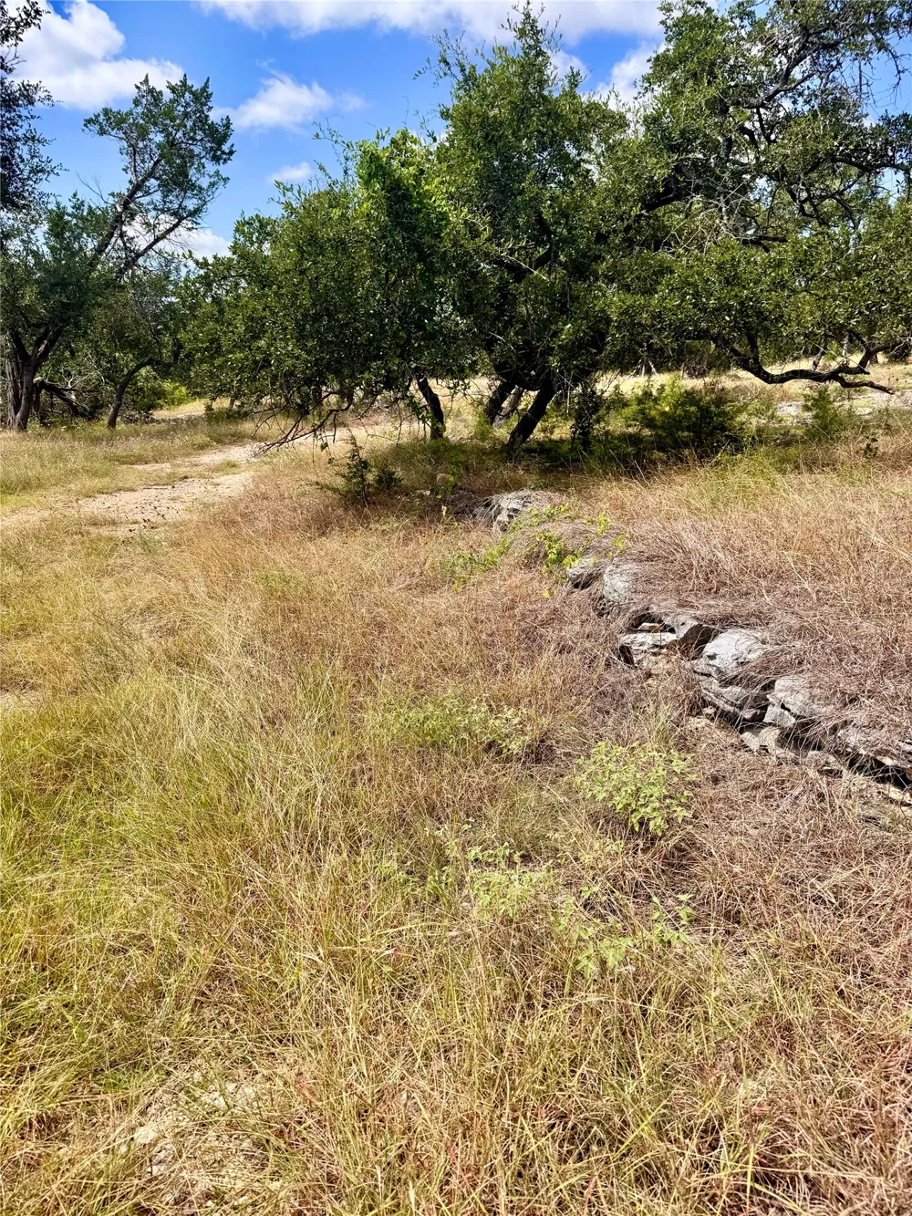 242 Landons Way Georgetown, TX 78633