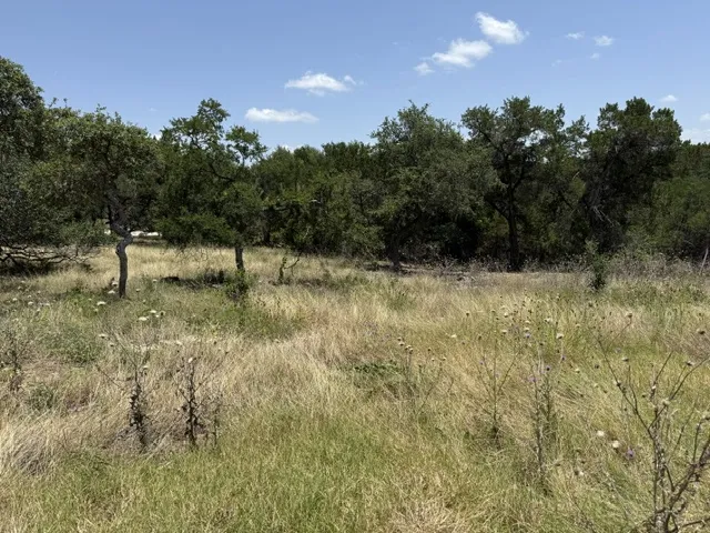 242 Landons Way Georgetown, TX 78633