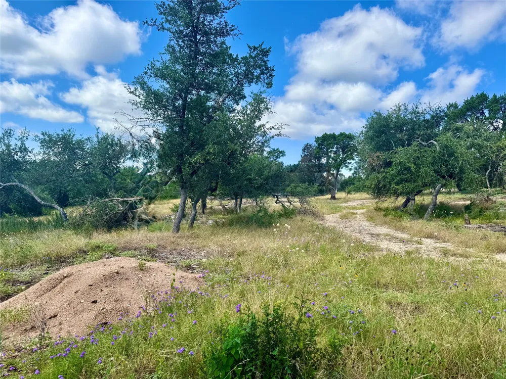 242 Landons Way Georgetown, TX 78633