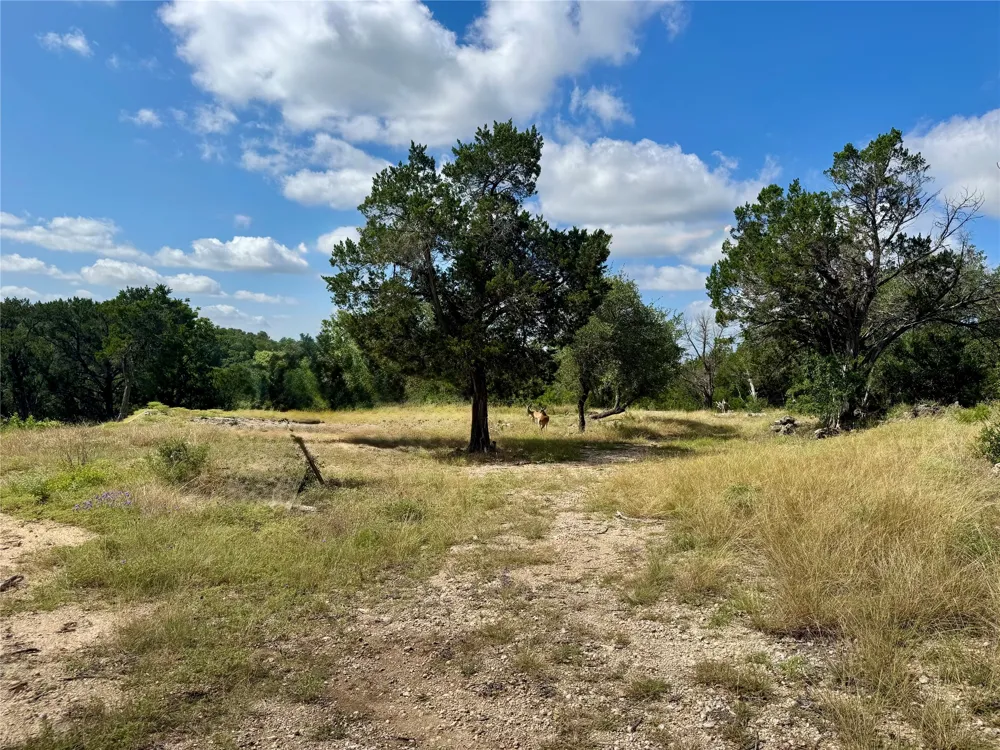 242 Landons Way Georgetown, TX 78633