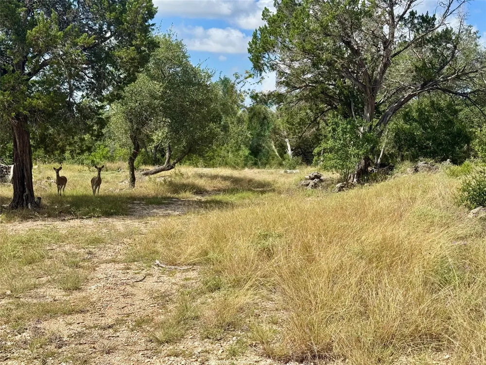 242 Landons Way Georgetown, TX 78633