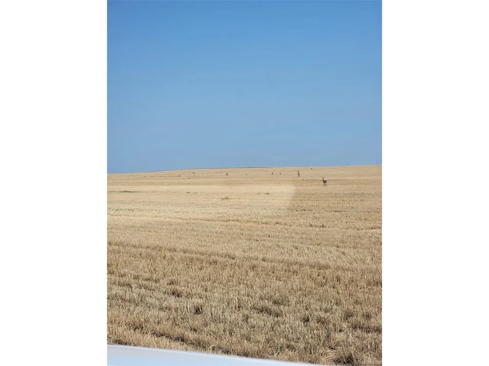 0 County Road 75 Roggen, CO 80652
