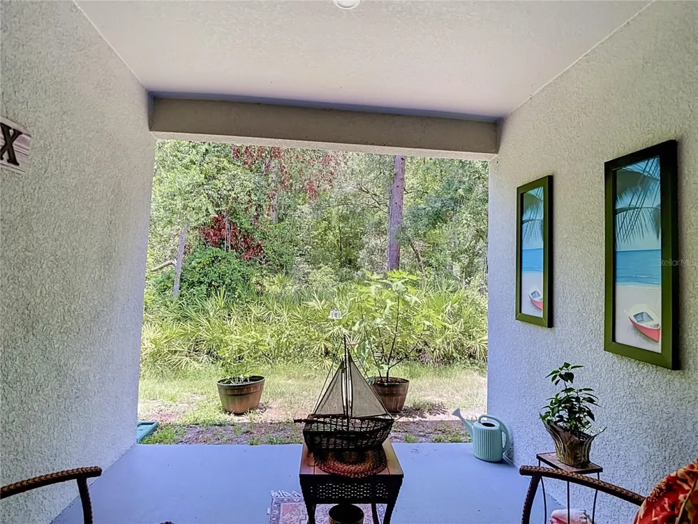 12000 GRIZZLY LANE New Port Richey, FL 34654