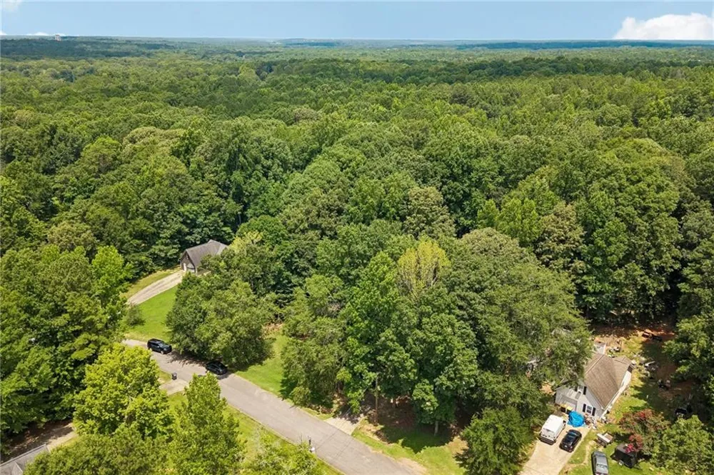 185 Starrs Mill Drive Senoia, GA 30276