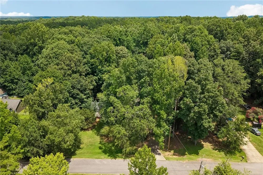185 Starrs Mill Drive Senoia, GA 30276