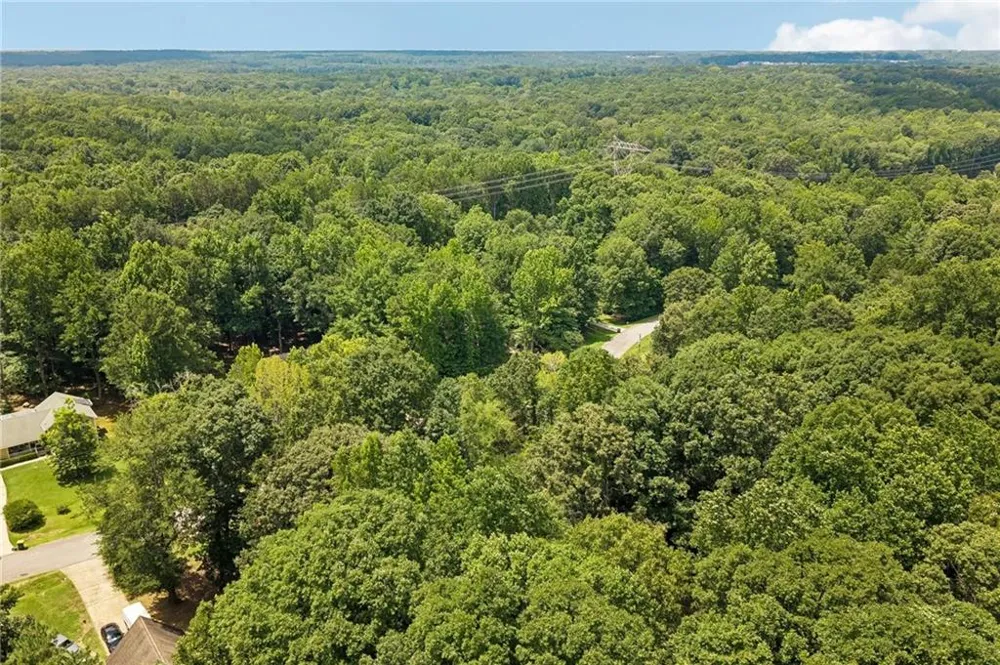 185 Starrs Mill Drive Senoia, GA 30276