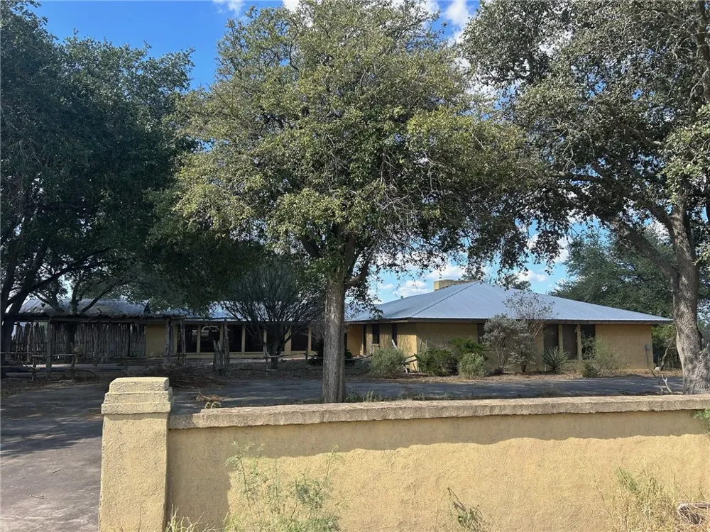 Honey Mesquite Freer, TX 78357