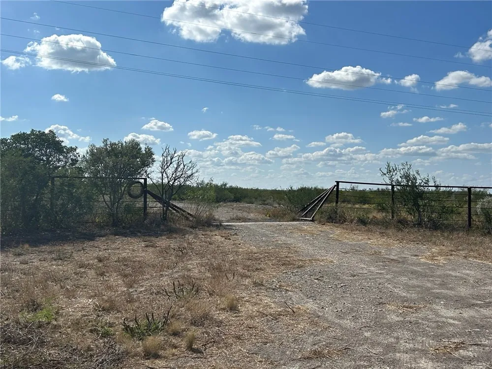 Honey Mesquite Freer, TX 78357