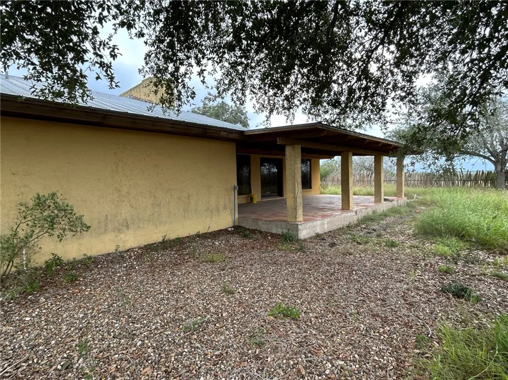 Honey Mesquite Freer, TX 78357