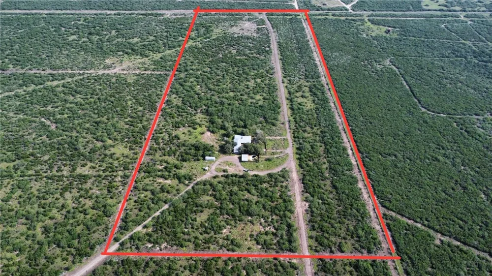 Honey Mesquite Freer, TX 78357